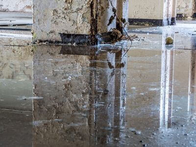 About Reliable Property Recovery - water damage restoration experts in Toronto